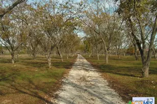 653 Scarborough, Canyon Lake, TX 78133 - Photo 11