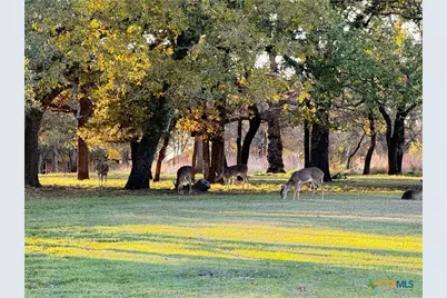 3223 K Starr Drive, Copperas Cove, TX 76522 - Photo 7