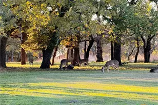 3223 K Starr Dr, Copperas Cove, TX 76522 - Photo 7