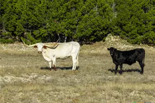 853 County Rd 4390, Kempner, TX 76539 - Photo 33