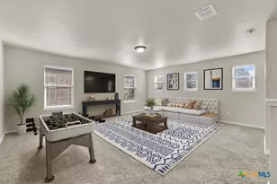 310 Sageleaf Willow Dr, San Marcos, TX 78666 - Photo 5