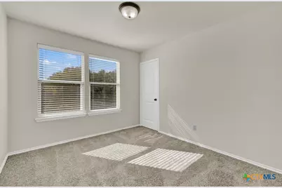 310 Sageleaf Willow Drive, San Marcos, TX 78666 - Photo 15