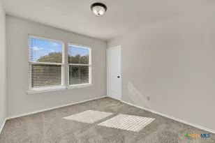 310 Sageleaf Willow Dr, San Marcos, TX 78666 - Photo 15