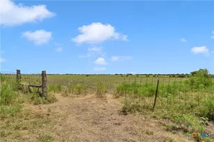 11064 Co Rd 210, Bertram, TX 78605 - Photo 31