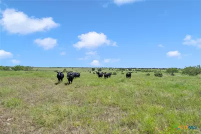 11064 County Road 210, Bertram, TX 78605 - Photo 21