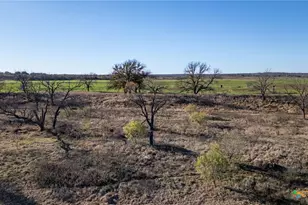 8498 Cr 121, San Saba, TX 76877 - Photo 19