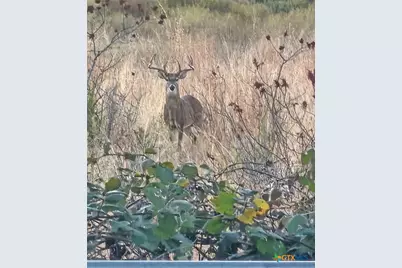 4501 Lauren Mackenzie Drive, Killeen, TX 76549 - Photo 29