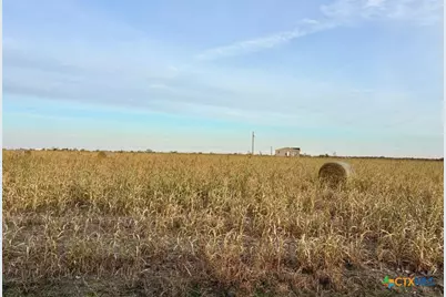 366 County Road 123, Buckholts, TX 76518 - Photo 3