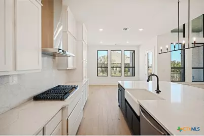 104 Big Muhly Pass, San Marcos, TX 78666 - Photo 3