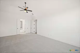 104 Big Muhly Pass, San Marcos, TX 78666 - Photo 13