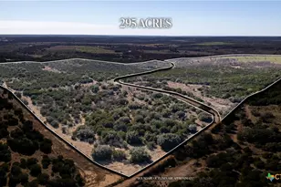 15 W Cr 426, Goldthwaite, TX 76844 - Photo 3