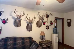 15 W Cr 426, Goldthwaite, TX 76844 - Photo 35