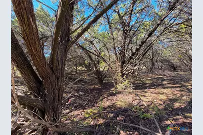 545-561 Lake Park Loop, Canyon Lake, TX 78133 - Photo 7