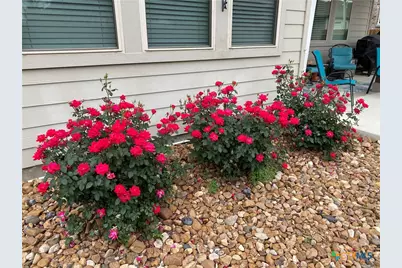 2931 Aller, New Braunfels, TX 78130 - Photo 35