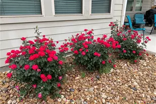 2931 Aller, New Braunfels, TX 78130 - Photo 35