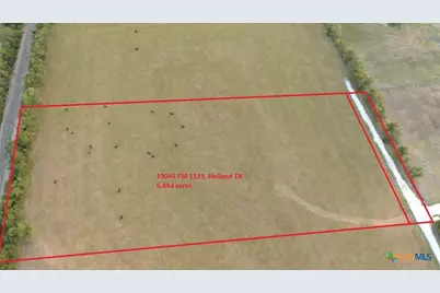 19045 Fm 1123, Holland, TX 76534 - Photo 9