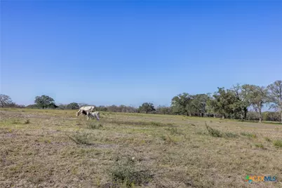 Tract 4 Fm 795, Gonzales, TX 78629 - Photo 9