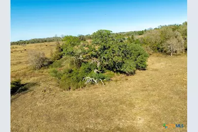 Tbd Fm 532, Hallettsville, TX 77964 - Photo 9