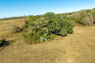 Tbd Fm 532, Hallettsville, TX 77964 - Photo 9