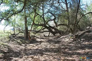 Tbd Fm 532, Hallettsville, TX 77964 - Photo 21