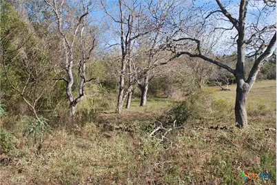 Tbd Fm 532, Hallettsville, TX 77964 - Photo 11