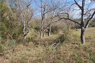 Tbd Fm 532, Hallettsville, TX 77964 - Photo 11