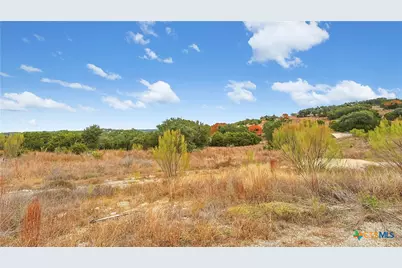 833 Bell Canyon Way, Bulverde, TX 78163 - Photo 17