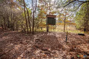 474 Pr 4311, White Oak, TX 75693 - Photo 19