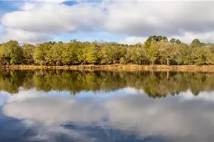 474 Pr 4311, White Oak, TX 75693 - Photo 15