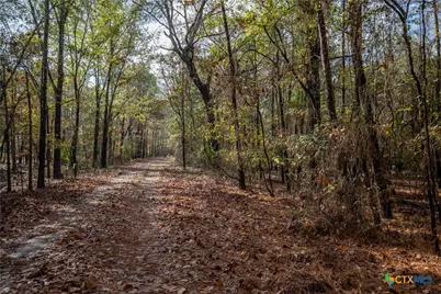 474 Pr 4311, White Oak, TX 75693 - Photo 33