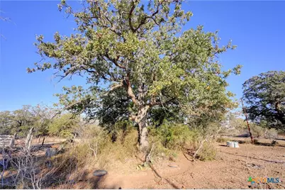 000 Cr 405, Waelder, TX 78959 - Photo 7