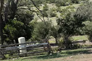 Lot 32 Private Rd, Rocksprings, TX 78880 - Photo 27