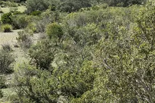 Lot 32 Private Rd, Rocksprings, TX 78880 - Photo 29