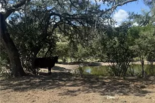 Lot 32 Private Rd, Rocksprings, TX 78880 - Photo 15