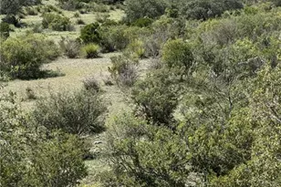 Lot 32 Private Rd, Rocksprings, TX 78880 - Photo 5