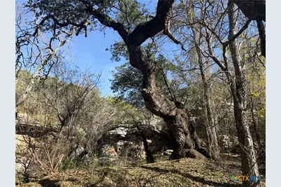 Lot 151 North River Rd, Lampasas, TX 76550 - Photo 9