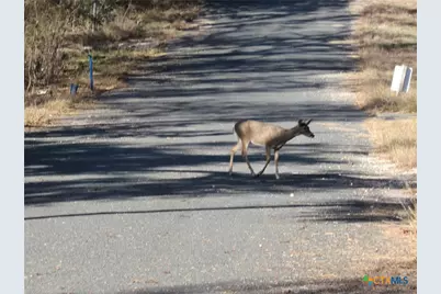 4240 Westview Drive, Belton, TX 76513 - Photo 3