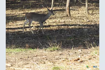 4240 Westview Drive, Belton, TX 76513 - Photo 9