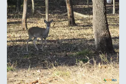 4240 Westview Drive, Belton, TX 76513 - Photo 15