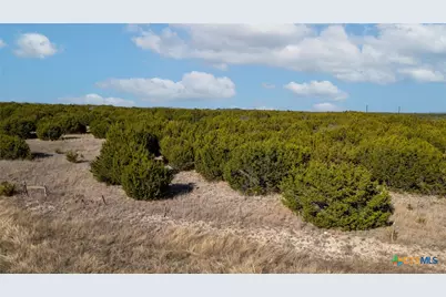 Tbd Cr 2315, Lampasas, TX 76550 - Photo 13