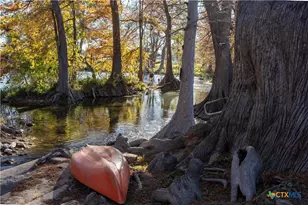 730 E Mather St, New Braunfels, TX 78130 - Photo 3