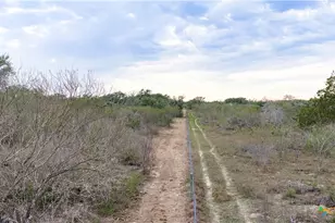 618 McGuill Rd, Goliad, TX 77963 - Photo 39