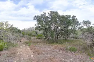 618 McGuill Rd, Goliad, TX 77963 - Photo 31