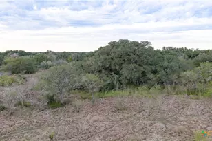 618 McGuill Rd, Goliad, TX 77963 - Photo 35