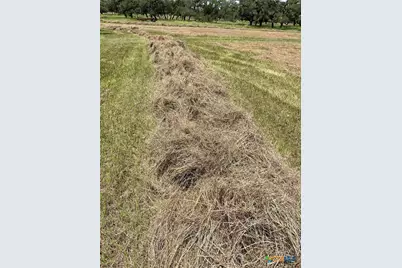 3745 Cattle Guard Road, Cuero, TX 77954 - Photo 3