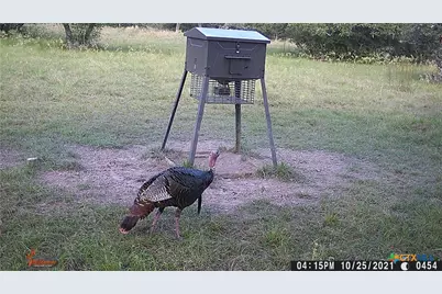 3100 Cattle Guard Road, Cuero, TX 77954 - Photo 7