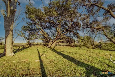 Tbd Co Rd 443 & Co Rd 446, Ganado, TX 77962 - Photo 3
