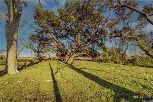Tbd Co Rd 443 & Co Rd 446, Ganado, TX 77962 - Photo 3
