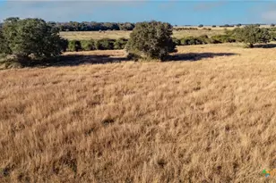 Tbd Co Rd 443 & Co Rd 446, Ganado, TX 77962 - Photo 9