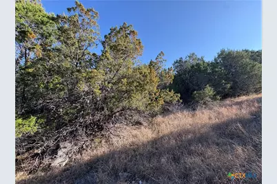 0 Lakeview Drive, Burnet, TX 78611 - Photo 3
